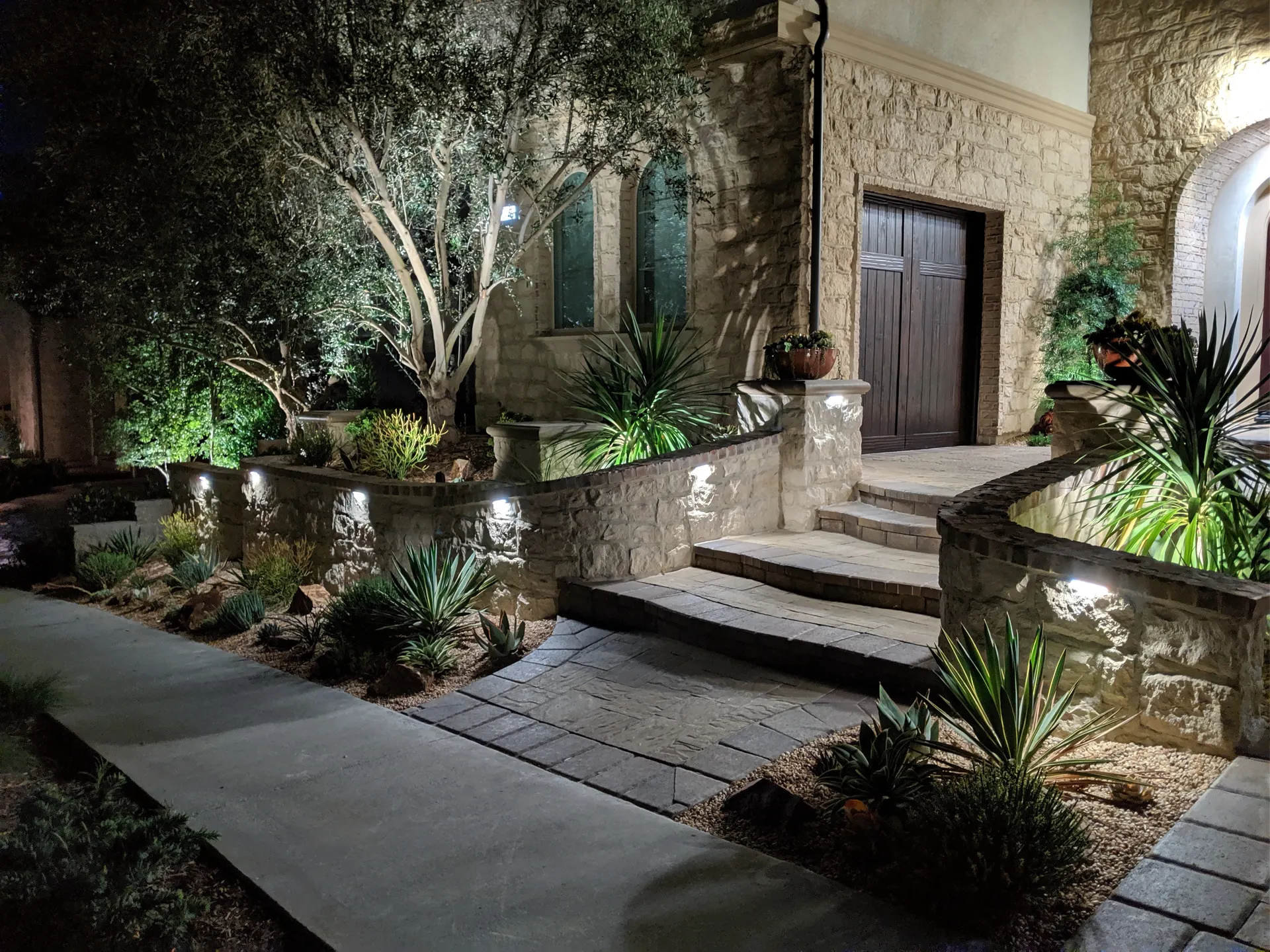Night stone home entry with path, wall, and tree uplighting, succulents