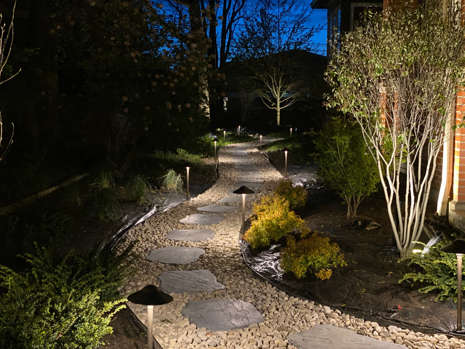 Stone path with bollard path lights and uplit shrubs at dusk