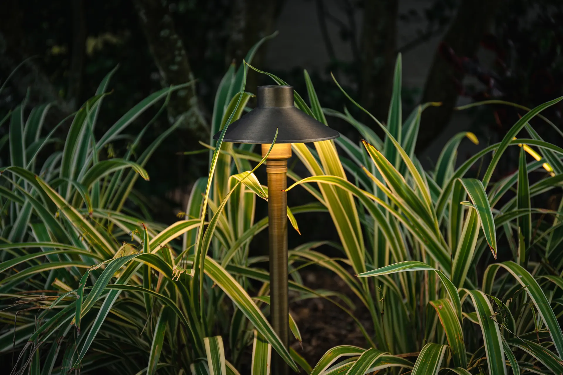 Night path light glowing over variegated foliage, warm