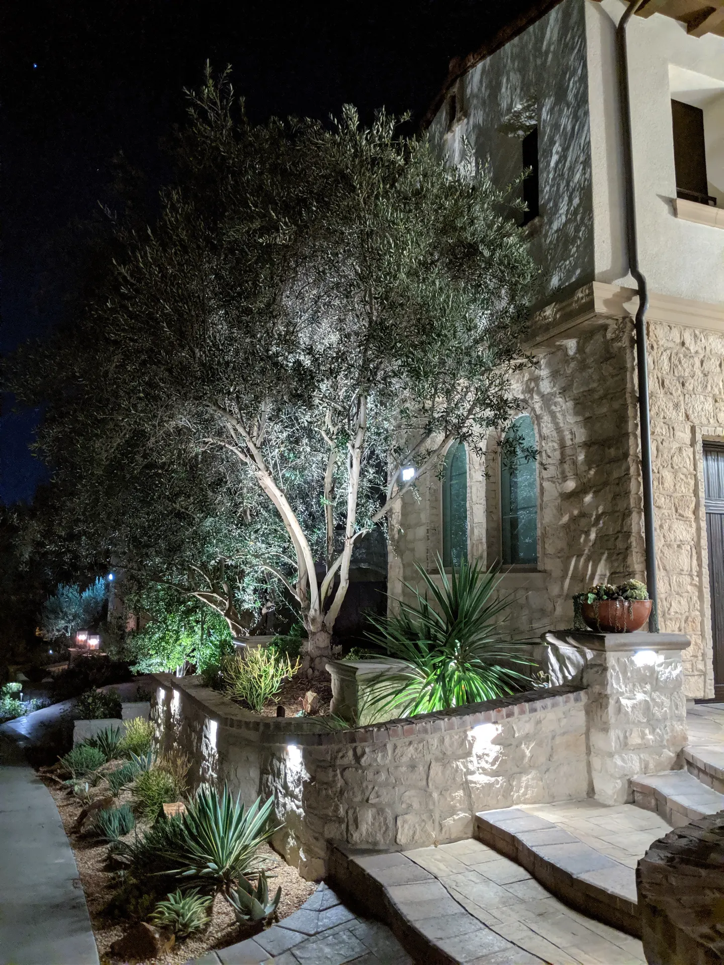 Night stone home with dramatic olive tree uplighting and wall lights