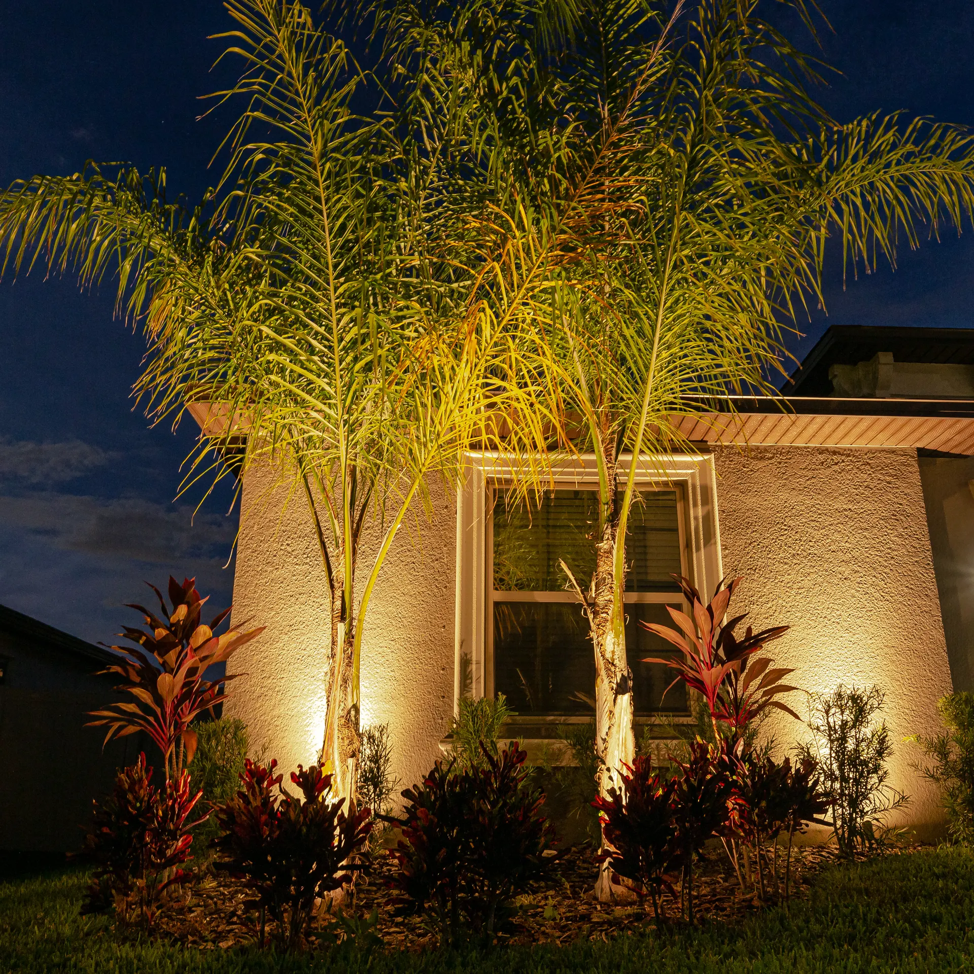 Night palms uplit warm against stucco wall, colorful crotons, lush scene