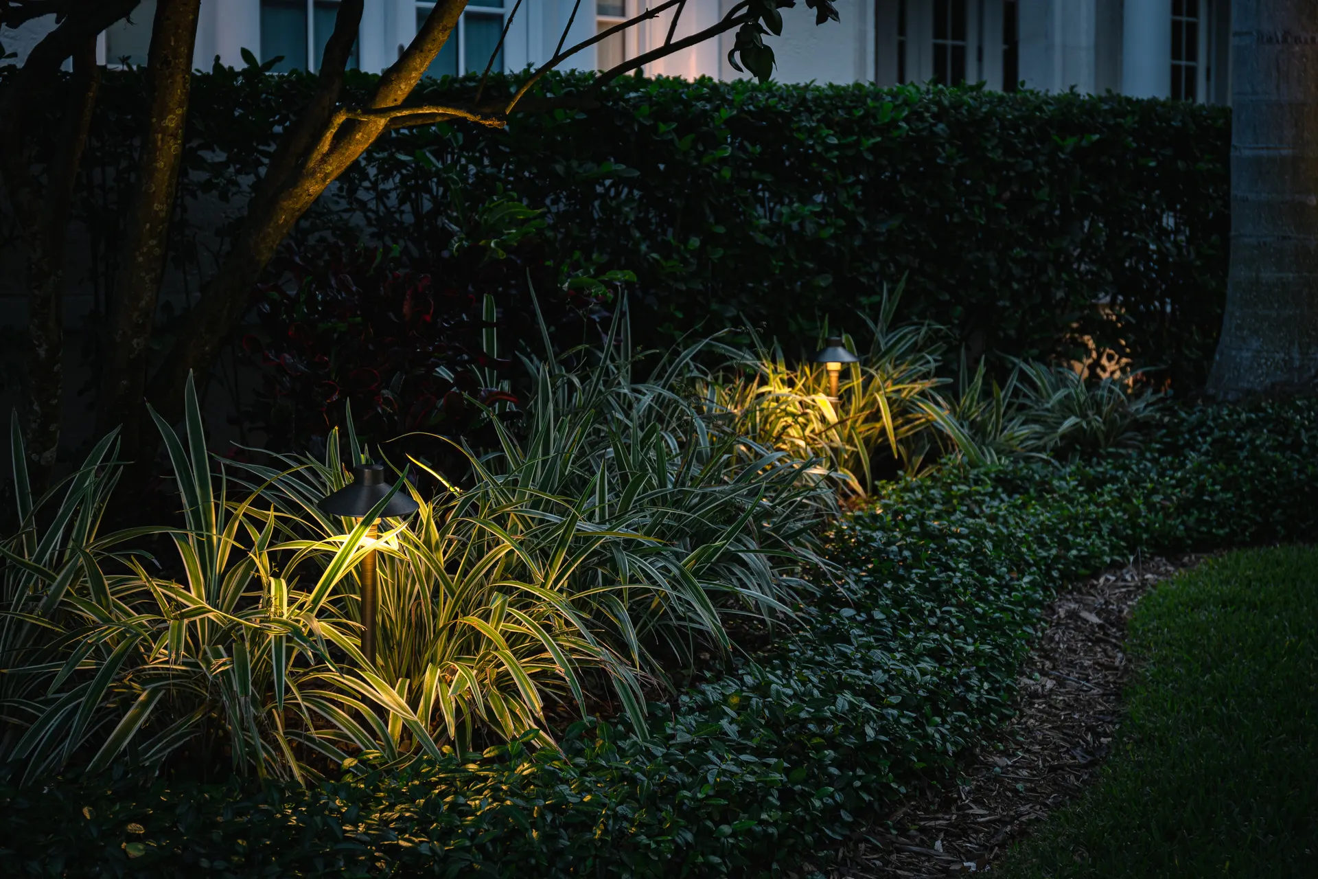 Hedge bed grazed by warm uplights along home, soft layered night ambiance