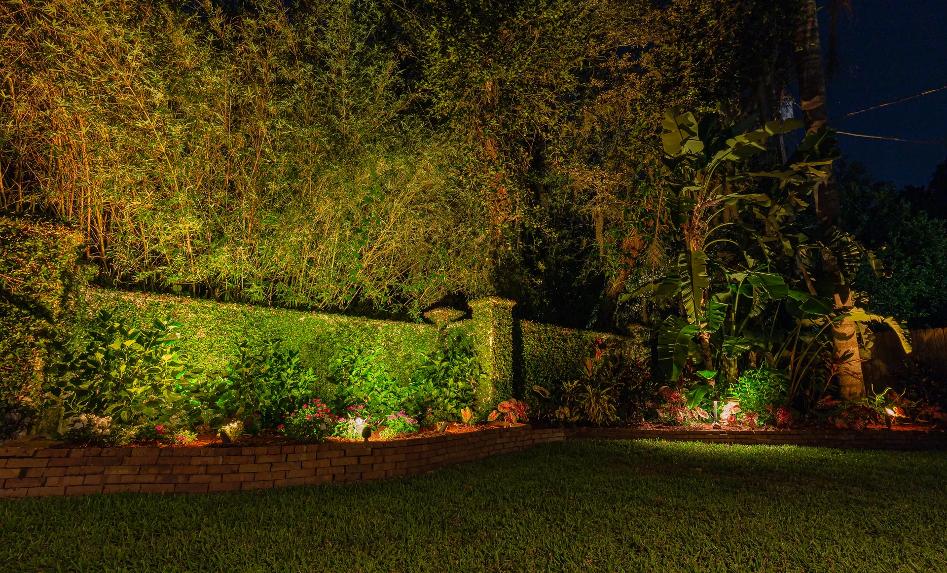 Backyard uplit hedges bamboo and bed at night, lawn foreground, layered
